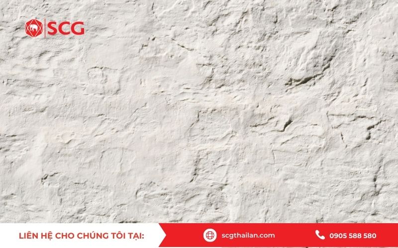Công ty cung cấp xi măng trắng