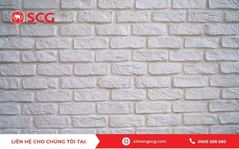 Hướng dẫn phương pháp chống thấm bằng xi măng trắng SCG Thái Lan